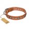 "Daily Chic" FDT Artisan Tan Leather Newfoundland Collar with Decorations