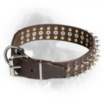Leather Newfoundland Collar with Brass Studs and Nickel Plated Spikes