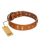 "Sand of Time" FDT Artisan Tan Leather Newfoundland Collar with Old Bronze-like Studs and Plates