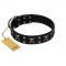 "Black Jack" Stylish Handmade FDT Artisan Black Leather Newfoundland Collar