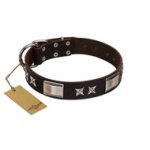 "Satin Beauts" FDT Artisan Brown Leather Newfoundland Collar with Stars and Plates