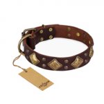 "Golden Square" FDT Artisan Brown Leather Newfoundland Collar with Large Squares