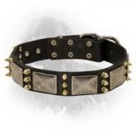 Newfoundland Spiked Leather Collar with Nickel Plates