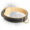 Newfoundland Leather Collar Nappa Padded