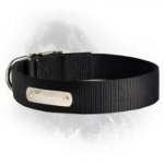 Any Weather Newfoundland Nylon Collar with Name Tag