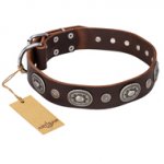 "Extra Pizzazz" FDT Artisan Adorned Brown Leather Newfoundland Collar