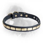 Newfoundland Leather Collar Brass Plates 25 mm