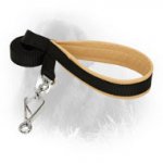 Nylon Newfoundland Leash with Herm Sprenger Snap Hook