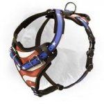 Patriotic Leather Newfoundland Harness with USA Flag Painting