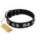 "Magic Amulete" Handcrafted FDT Artisan Black Leather Newfoundland Collar with Chrome-Plated Shields