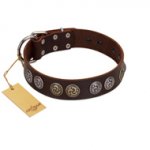 "Treasure Hunter" FDT Artisan Brown Leather Newfoundland Collar with Old-Bronze-like and Silvery Medallions