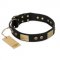 "Spanish night" FDT Artisan Fashionable Leather Walking Newfoundland Collar