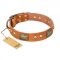"Saucy Nature" FDT Artisan Tan Leather Newfoundland Collar with Old Bronze Look Plates and Skulls