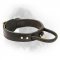 Extra Durable Leather Newfoundland Collar with Comfortable Handle