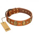 "Crystal Sand" FDT Artisan Tan Leather Newfoundland Collar with Vintage Looking Oval and Round Studs