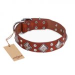 "Magic Squares" FDT Artisan Tan Leather Newfoundland Collar with Silver-like Decor