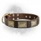 Leather Newfoundland Collar with Massive Brass Plates