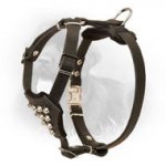 Small Leather Newfoundland Harness with Pyramids