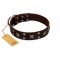 "Bigwig Woof" FDT Artisan Brown Leather Newfoundland Collar with Chrome Plated Stars and Square Studs