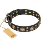 'Baroque Chic' FDT Artisan Studded Black Leather Newfoundland Dog Collar