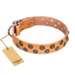 "Precious Sparkle" FDT Artisan Tan Leather Newfoundland Collar with Exclusive Decor