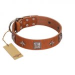 "Lucky Star" FDT Artisan Tan Leather Newfoundland Collar with Silver-Like Embellishments