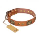 "Cosmic Traveller" FDT Artisan Adorned Leather Newfoundland Collar with Old Bronze-Plated Stars and Plates
