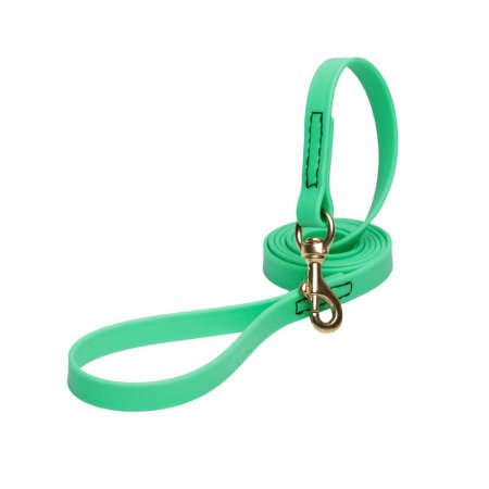 Green Waterproof Newfoundland Leash Made of Biothane
