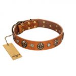 "Call of Feat" FDT Artisan Tan Leather Newfoundland Collar with Old Bronze-like Studs and Oval Brooches