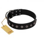 "Immense Power" Handcrafted FDT Artisan Black Leather Newfoundland Collar with Small Dotted Pyramids