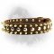 Newfoundland Spiked and Studded 40 mm Leather Collar