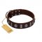 "Spiky Way" FDT Artisan Brown Leather Newfoundland Collar with Silver-Like Decorations