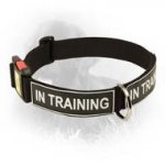 Practical Nylon Newfoundland Collar with ID Patches
