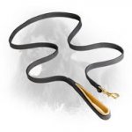Training Leather Newfoundland Leash with Nappa Padded Handle
