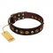 "Street Fashion" FDT Artisan Brown Leather Newfoundland Collar Adorned with Circles and Skulls