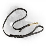 Braided Leather Newfoundland Leash for Daily Use