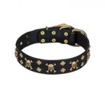'Jolly Rojer' FDT Artisan Newfoundland Leather Dog Collar with Pirate Skulls and Studs - 1 1/2 inch (40 mm) wide
