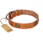 "Dandy Pet" FDT Artisan Handcrafted Tan Leather Newfoundland Collar