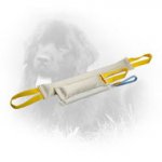 Fire Hose Newfoundland Bite Training Set (3 Dog Items)