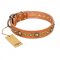 "Feast of Luxury" FDT Artisan Tan Leather Newfoundland Collar with Old Bronze Look Circles