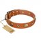 "Visual Magic" FDT Artisan Tan Leather Newfoundland Collar for Daily Activities