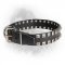Exclusive "Caterpillar" Leather Newfoundland Collar with Nickel Studs