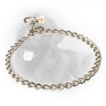 Stainless Steel Newfoundland Choke Collar