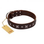"Stellar Fairy " FDT Artisan Brown Leather Newfoundland Collar with Chrome-plated Star-like Decorations