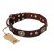 "Breath of Elegance" FDT Artisan Decorated with Plates Brown Leather Newfoundland Collar