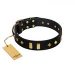 "De Luxe" FDT Artisan Black Leather Newfoundland Collar with Old Bronze-like Plates and Studs
