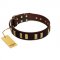 "Peace and Harmony" FDT Artisan Brown Leather Newfoundland Collar with Plates