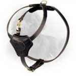 Comfy Leather Newfoundland Harness with Small Chest Plate