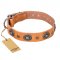 "Twinkle Twinkle" FDT Artisan Incredible Studded Tan Leather Newfoundland Collar