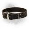 Leather Newfoundland Dog Collar Wide Leather Strap